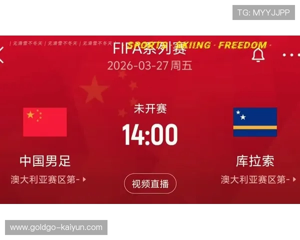 FIFA系列赛 FIFA系列赛